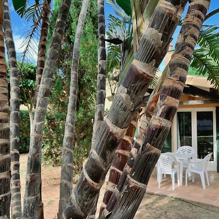 Apartmán Bungalow Tropical Nº6 - Son Xoriguer Exteriér fotografie