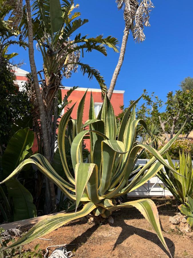 Apartmán Bungalow Tropical Nº6 - Son Xoriguer Exteriér fotografie